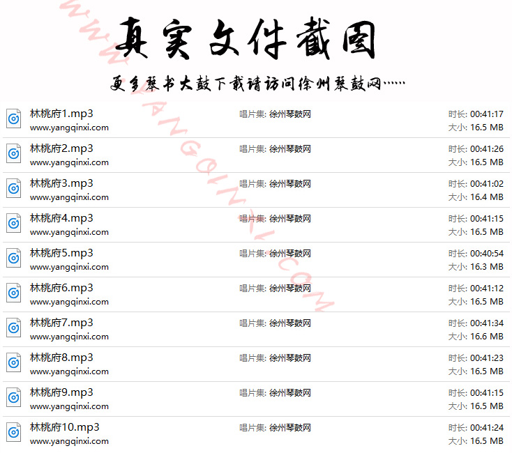 周银侠 琴书《林桃府》MP3下载