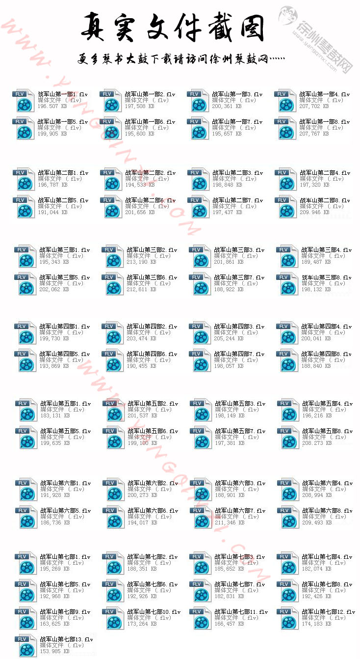 丁舞 王道兰 战军山7部61集.jpg