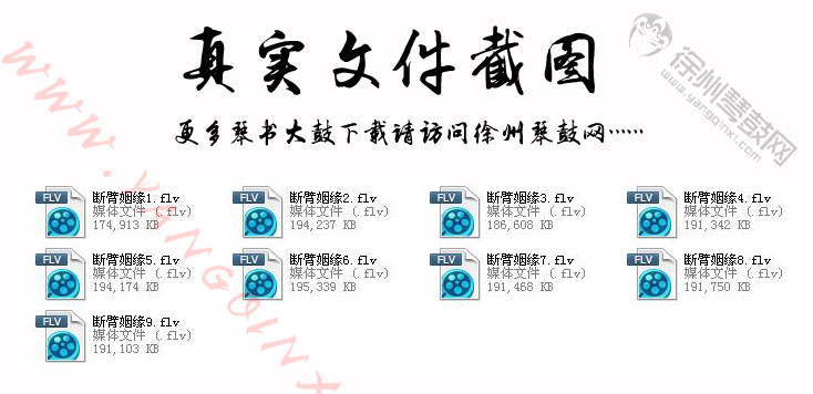 琴书断臂姻缘视频下载