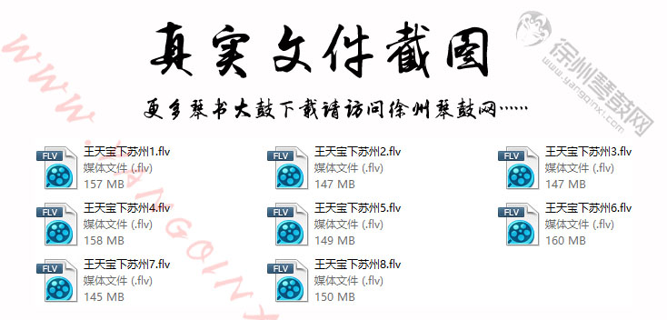 琴书王天宝下苏州视频下载