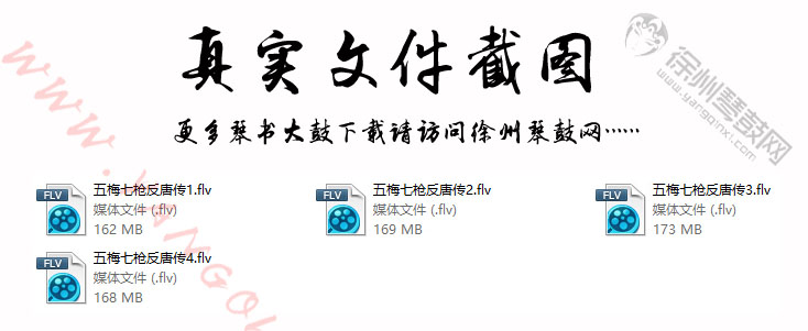 大鼓五梅七枪反唐传视频下载