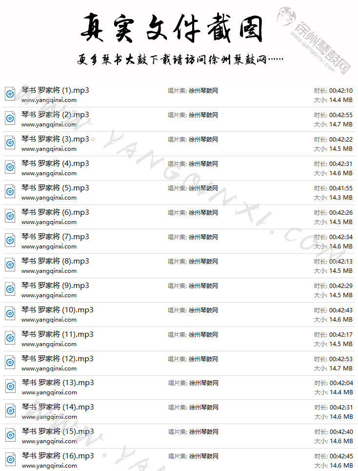 琴书 高小眼《罗家将》16集.jpg