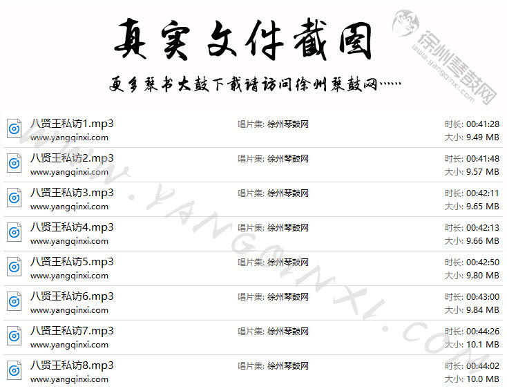 琴书 高小眼 王道兰《八贤王私访》8集.jpg