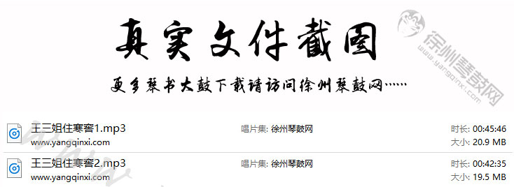 琴书 王道兰《王三姐住寒窖》2集.jpg