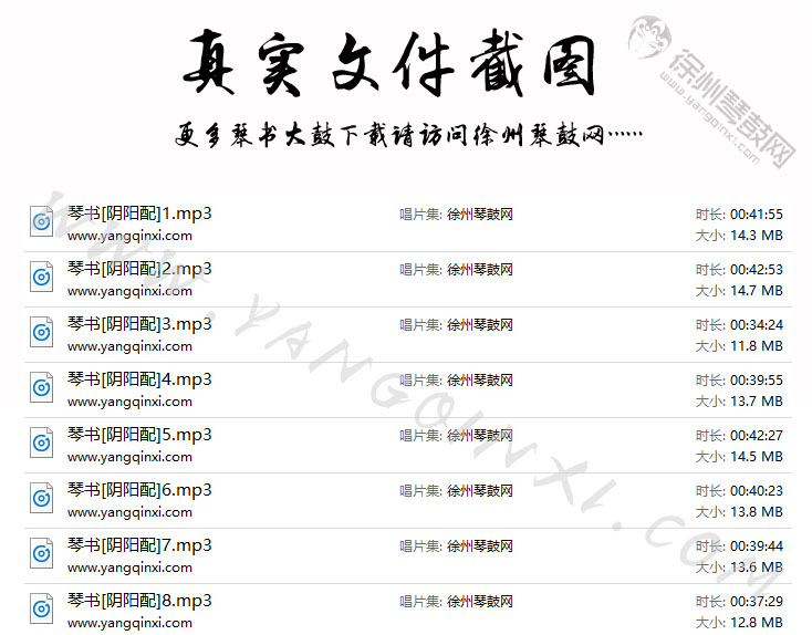 琴书 王道兰《阴阳配》8集.jpg