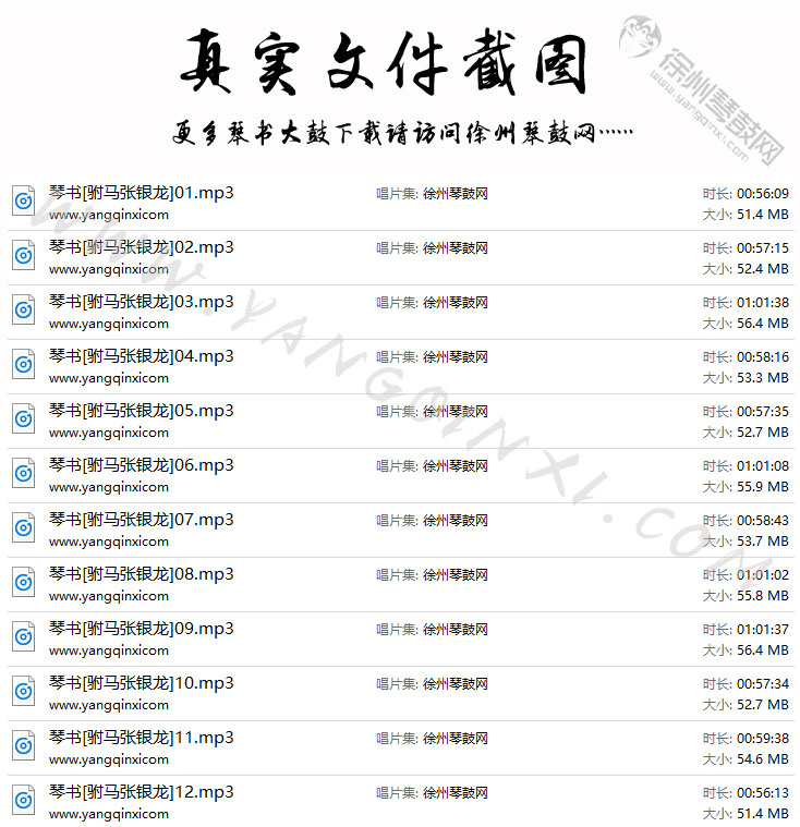 琴书 王道兰 周银侠《驸马张银龙》12集.jpg