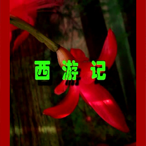 大鼓短书《西游记》视频下载