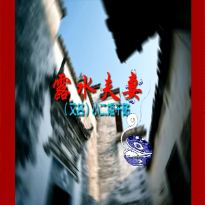 大鼓短书《露水夫妻》视频下载