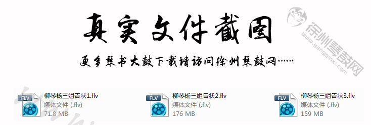 柳琴戏杨三姐告状视频下载.jpg