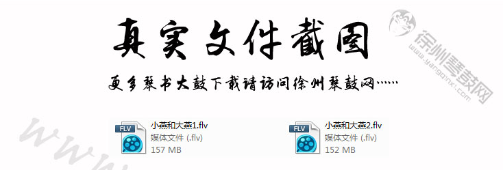 小燕和大燕.jpg
