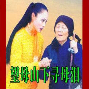 柳琴戏《望母山下寻母泪》视频下载