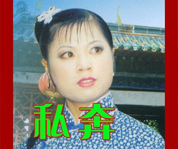 柳琴戏《私奔》视频下载