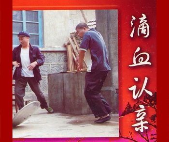 柳琴戏《滴血认亲》视频下载