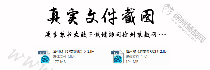 赵美荣观灯.jpg
