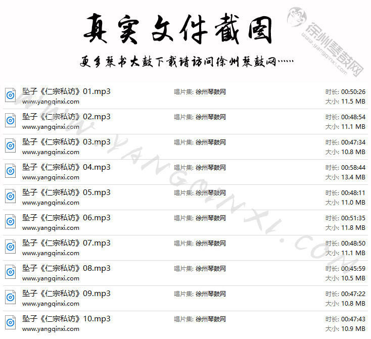 河南坠子 胡中花《仁宗私访》10集.jpg