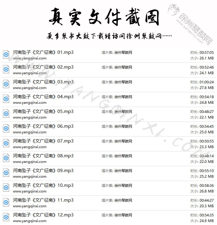 河南坠子 崔银娣《文广征南》12集.jpg