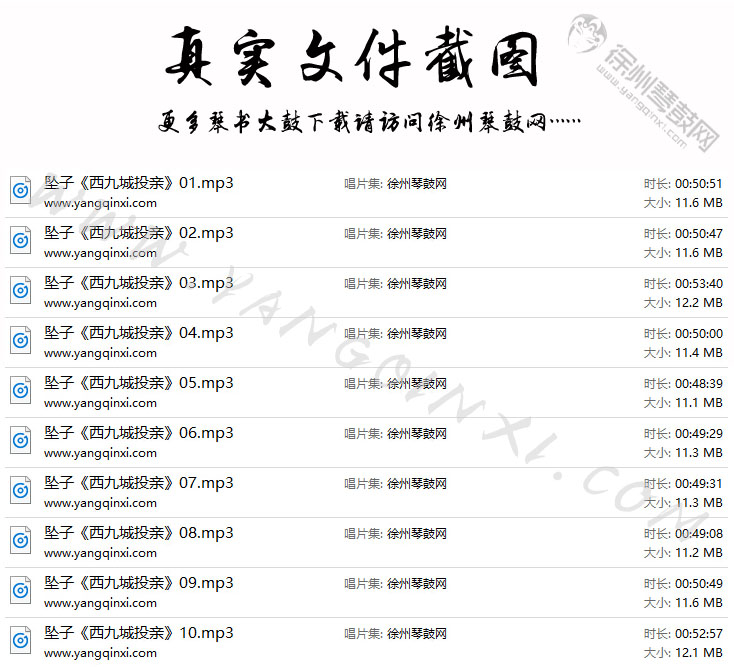 河南坠子 胡中花《西九城投亲》10集.jpg