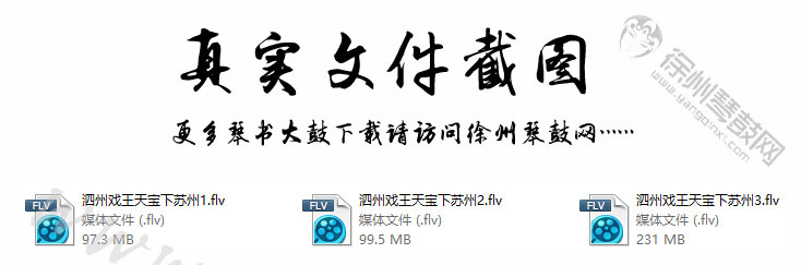 泗洲戏《王天宝下苏州》3集.jpg