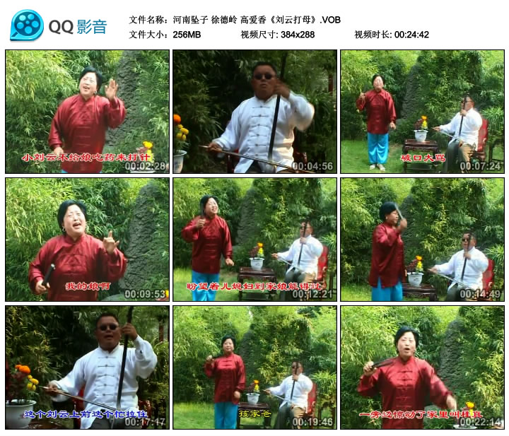 河南坠子 徐德岭 高爱香《刘云打母》.jpg