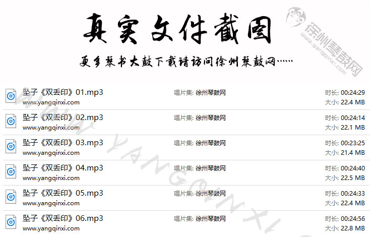 河南坠子 陆文芝《双丢印》6集.jpg