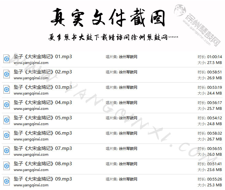 河南坠子 李巧竹《大宋金鸠记》9集.jpg