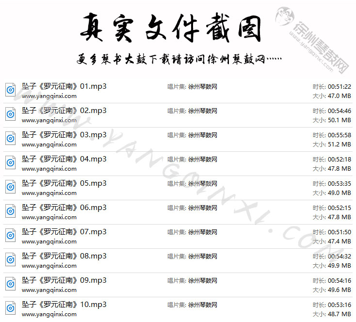河南坠子 王建国 范翠霞《罗元征南》10集.jpg