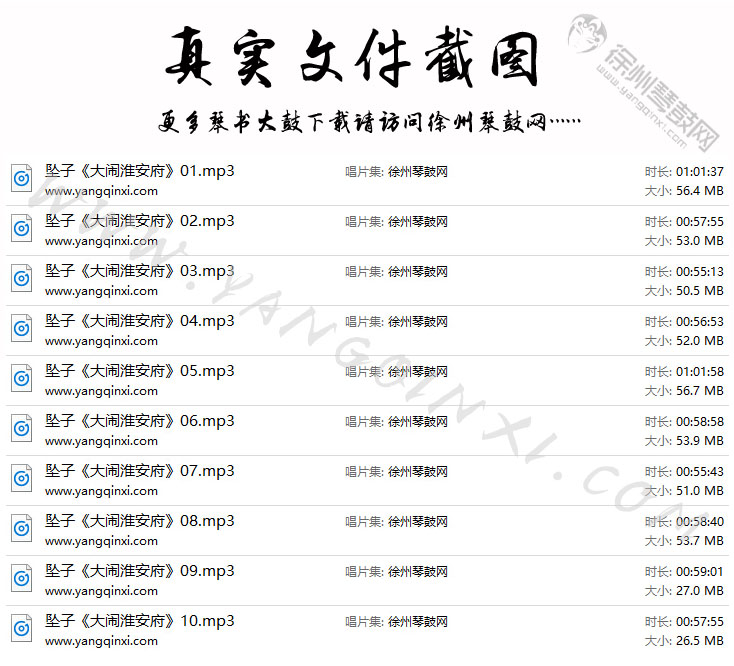 河南坠子 王建国 范翠霞《大闹淮安府》10集.jpg