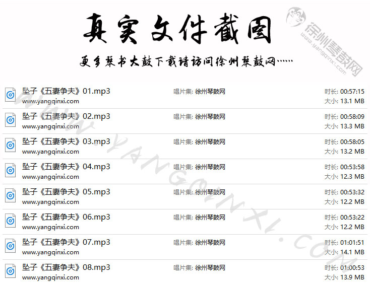 河南坠子 莫红梅《五妻争夫》8集.jpg