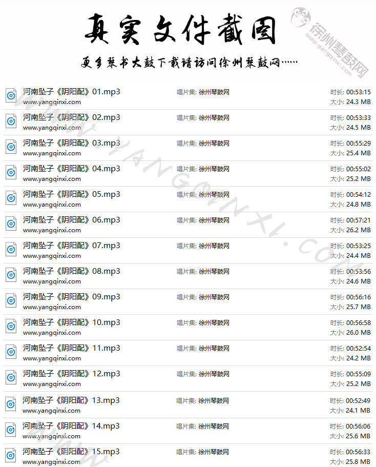 河南坠子 王建国 范翠霞《阴阳配》15集.jpg