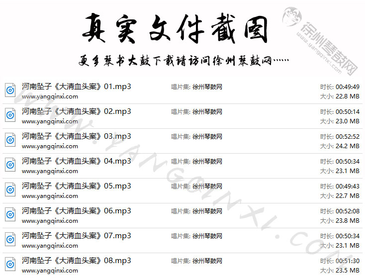 河南坠子 王金环 王巧针《大清血头案》8集.jpg