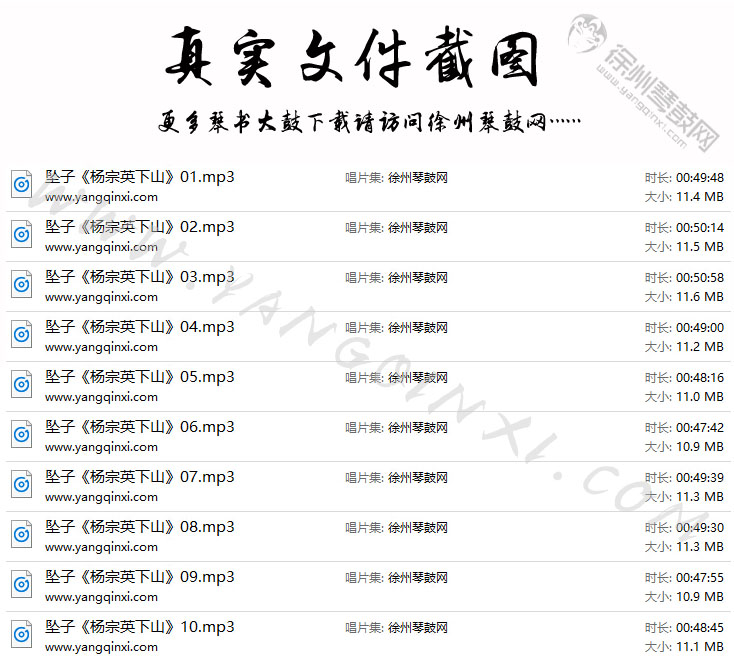河南坠子 张麦捞《杨宗英下山》10集.jpg