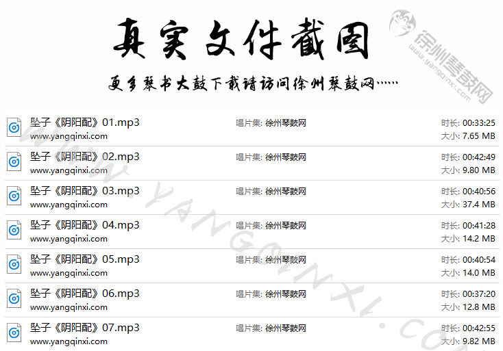 河南坠子 王文仲《阴阳配》7集.jpg