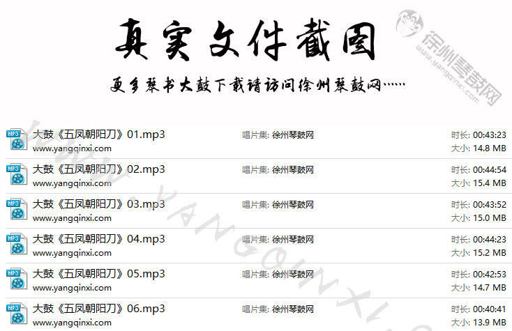 大鼓 沈启功《五凤朝阳刀》6集.jpg