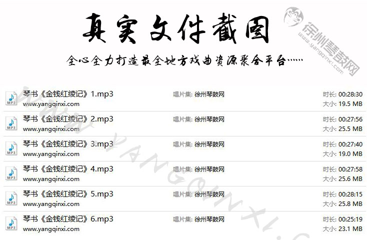 琴书《金钱红绫记》6集全 李殿奎 李兆玲.jpg